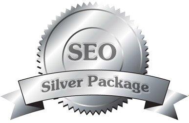 Seo Silver Paketi