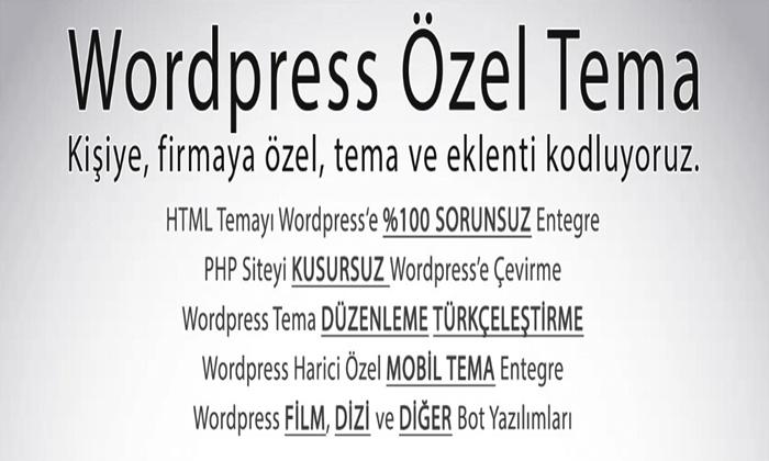 WordPress Özel Tema