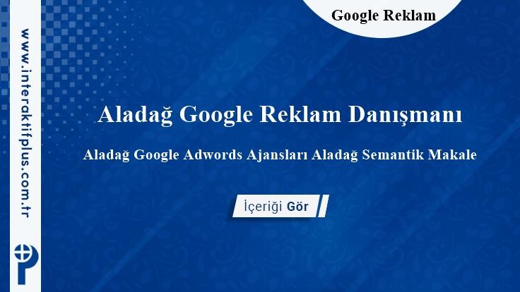 Aladağ Google Reklam Danışmanı