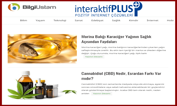 Bilgiustam.com Tanıtım Yazısı