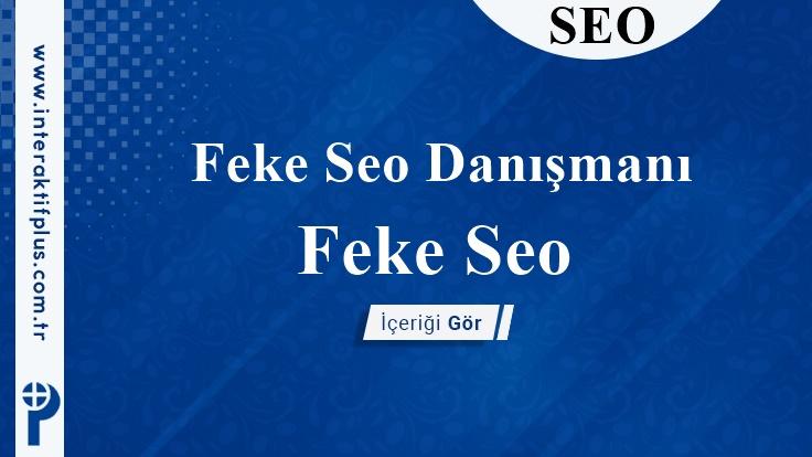 Feke Seo Danışmanı