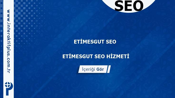 Etimesgut Seo ve Seo Danışmanı Etimesgut