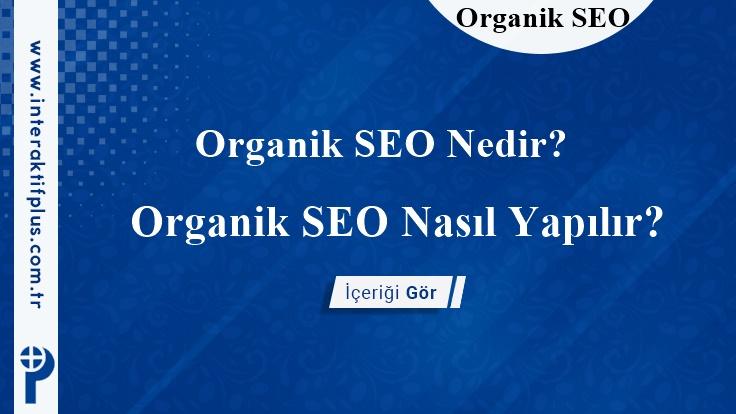 Organik SEO