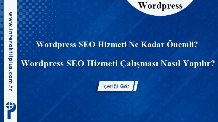 WordPress SEO Hizmeti