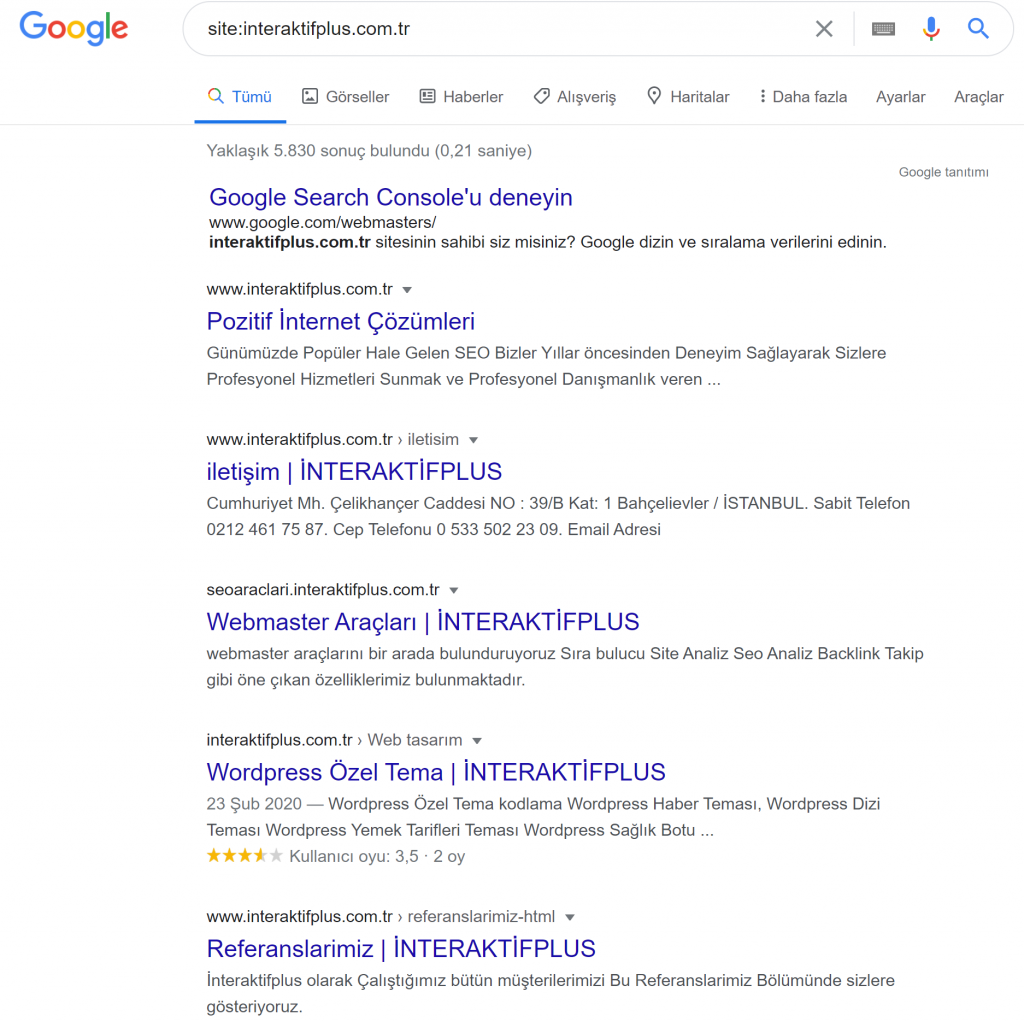 Google İndeks Sayısı Neyi İfade Eder?