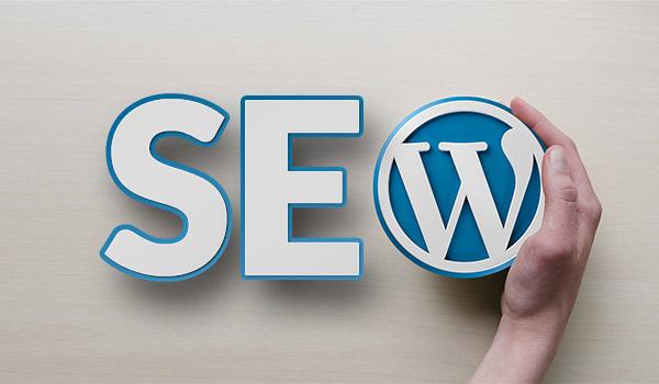 WordPress Seo Çalışması